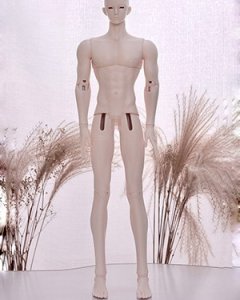 TD 1/4 Boy Special Body (Strong 75cm Ver.1 Scaled-Down)