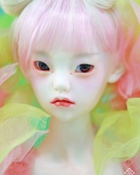 60cm Olanda Head 60cm Olanda Head