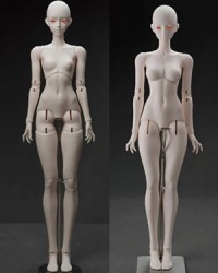 Coralreef Whale Island 68cm Girl Body (Pure Girl) Coralreef Whale Island 68cm Girl Body (Pure Girl)