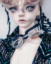 GLS219 1/3 GLS219 1/3