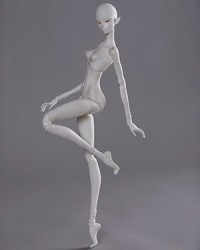K-body-24 (46cm) K-body-24 (46cm)