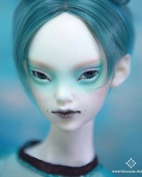 60cm Gine Head 60cm Gine Head