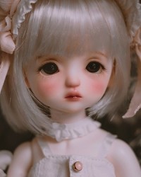 Yomi (26cm)