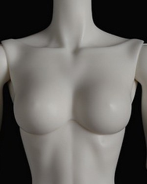 DZ 70cm Girl Chest Part - Click Image to Close