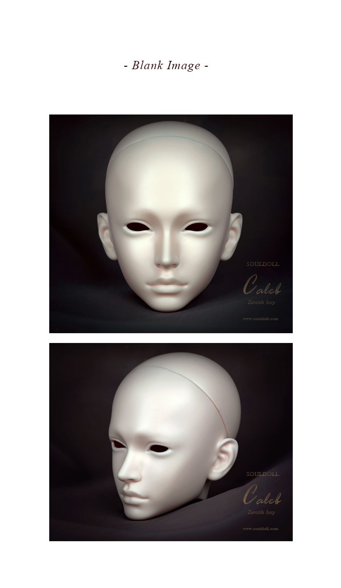 SoulDoll Caleb ヘッド 球体関節人形 bjd ドール ボークス-