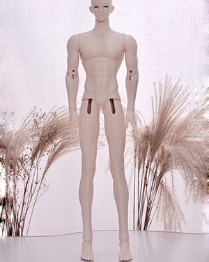 TD 1/4 Boy Special Body (Strong 75cm Ver.1 Scaled-Down) - Click Image to Close